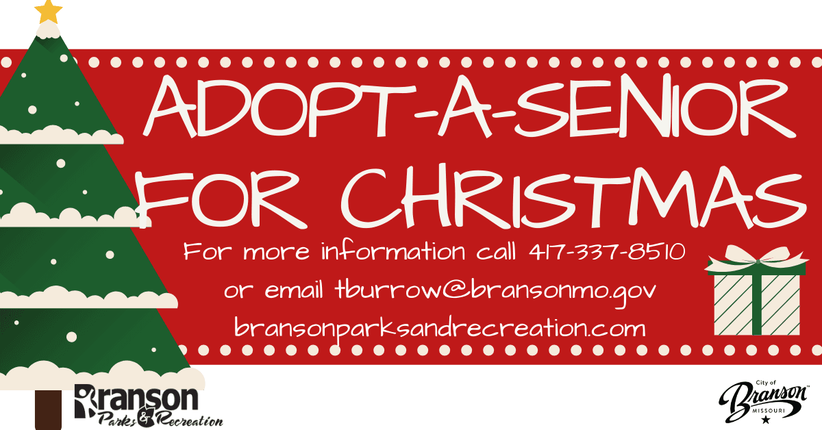 Adopt A senior Marketing Flyer (2)