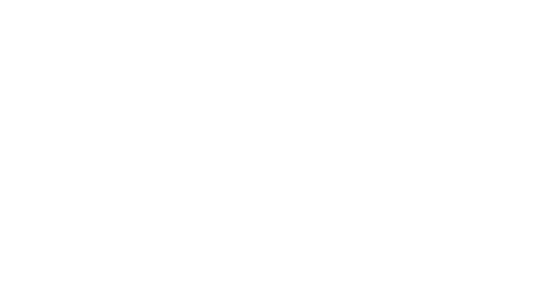 Branson Logo - White